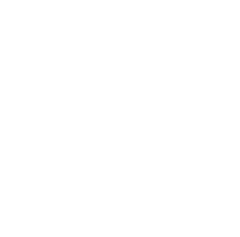 FVS INC